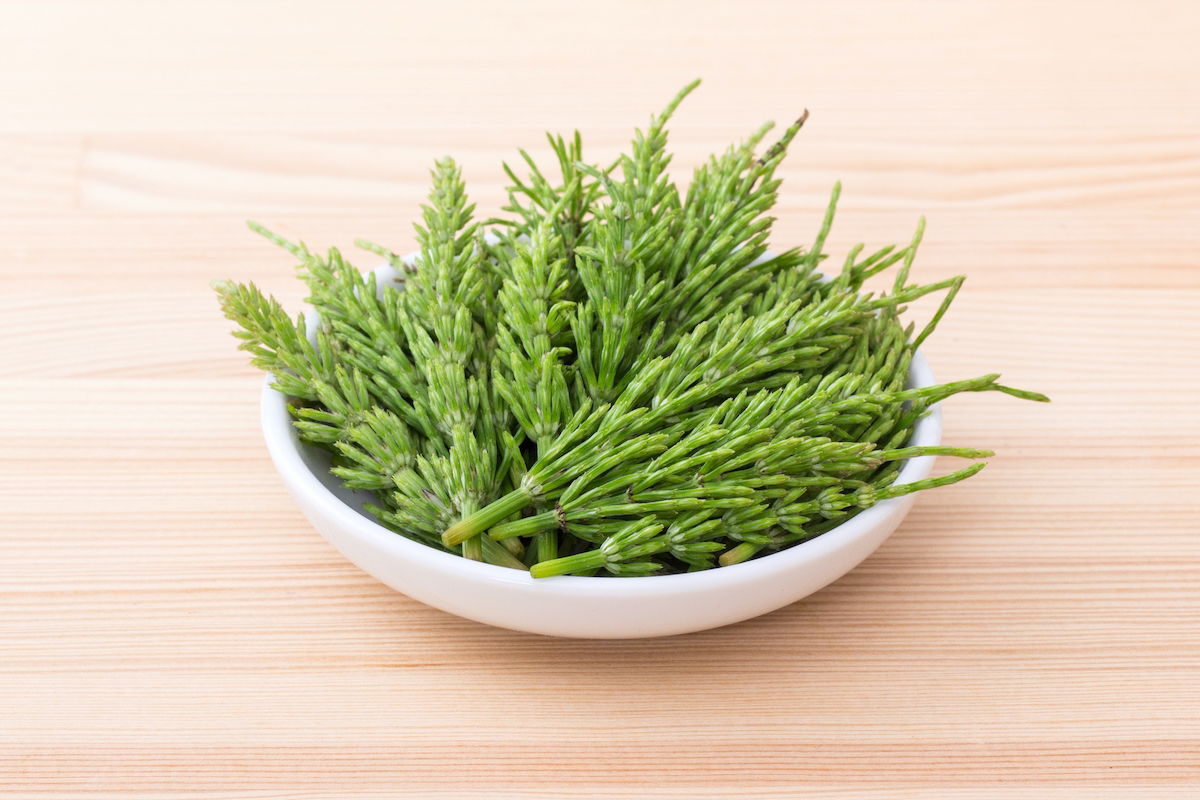 Atenção à Sensibilidade Individual: Cada Corpo Reage de um Jeito - inspiração 2