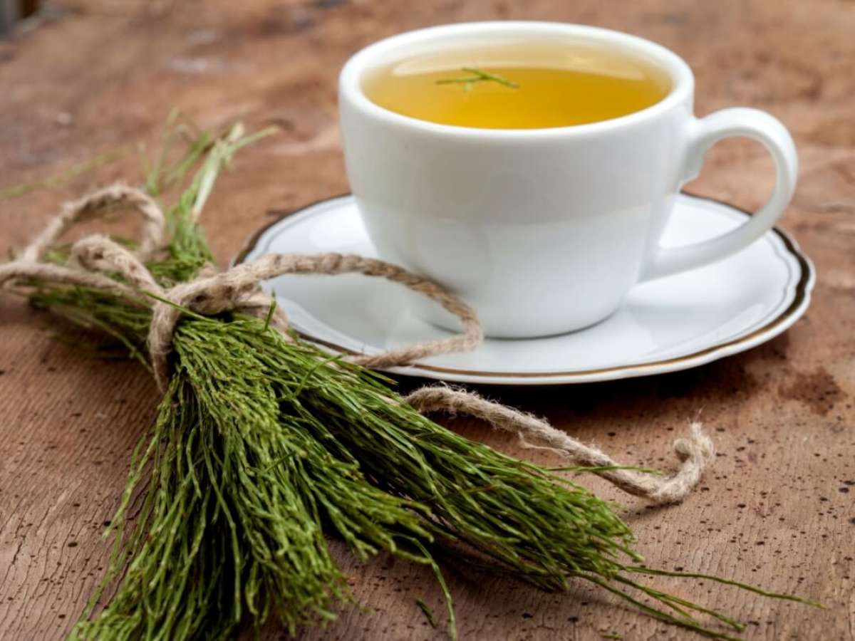 Doenças Inflamatórias Intestinais: Evite o Chá Se Você Sofre Com Isso - inspiração 2