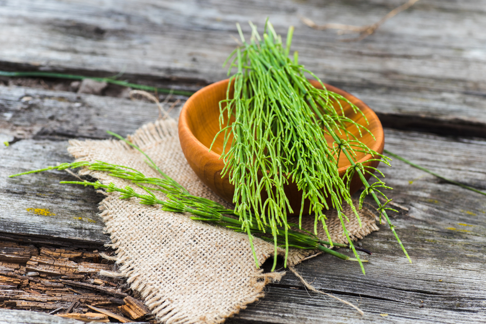 Efeito Diurético Potente: Desidratação e Dor Abdominal - inspiração 1