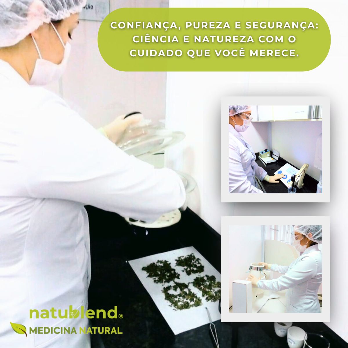 Dica #10: Faça Pausas Estratégicas no Consumo do Chá para Evitar a Sobrecarga do Fígado - inspiração 1