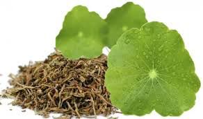 Dica #9: Monitore os Sinais do Seu Corpo ao Iniciar o Consumo do Chá - inspiração 2