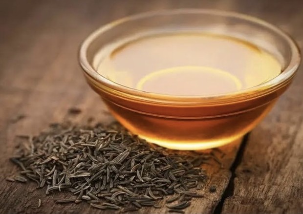 Digestão Leve e Eficaz: O Fim da Azia e da Má Digestão - inspiração 1