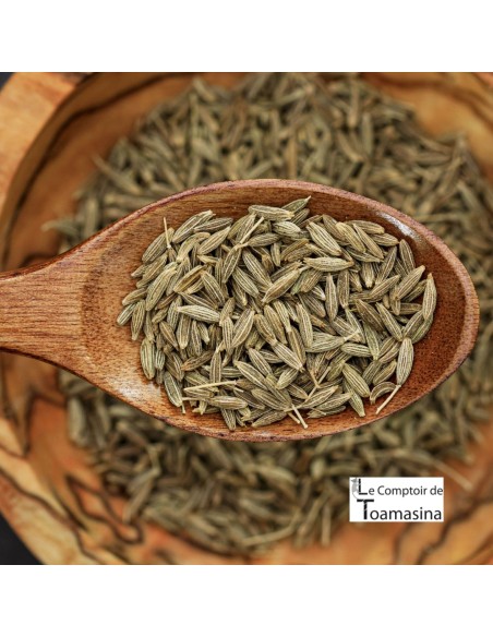 Antioxidante Poderoso: Proteção Celular Contra o Envelhecimento - inspiração 2