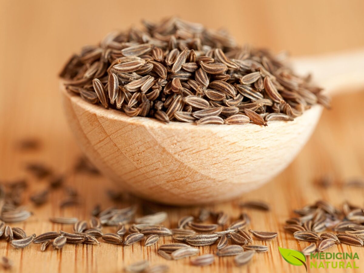 Antioxidante Poderoso: Proteção Celular Contra o Envelhecimento - inspiração 3