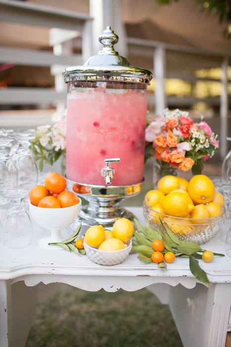 Pink Lemonade Turbinada com Hibisco: Zero Retenção e Máximo Detox - inspiração 1