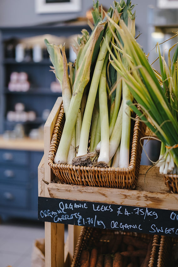 Dica #1: Escolha Alhos-Porós Firmes e Sem Manchas - inspiração 1