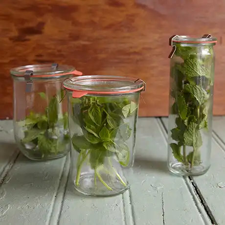 Dica #1: O Método do Buquê na Geladeira (Até 2 Semanas) - inspiração 1