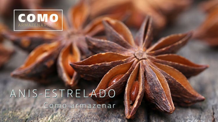 Dica #1: O Método do Buquê na Geladeira (Até 2 Semanas) - inspiração 2