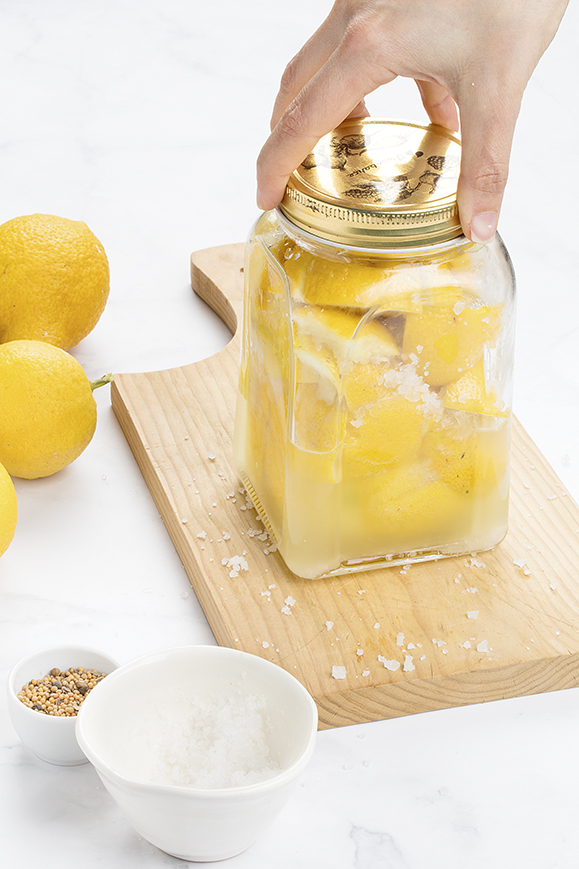 Dica #7: Atenção à Umidade (O Inimigo Número Um do Anis Fresco) - inspiração 1