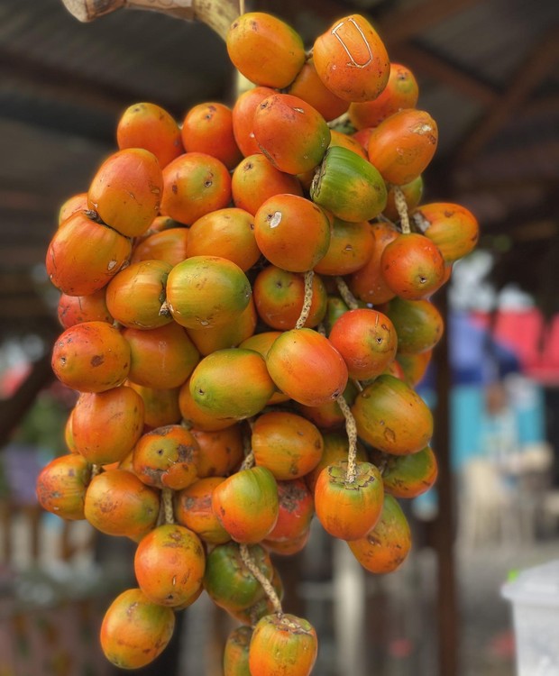 Chá de Pupunha Adoçado com Mel de Abelha Nativa: Doce e Saudável - inspiração 1