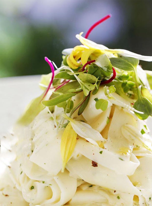 Chá de Pupunha Turbinado com Guaraná em Pó: Energia Extra! - inspiração 2