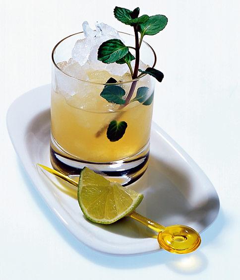 Combine com Limão para um Toque Cítrico Revigorante - inspiração 3