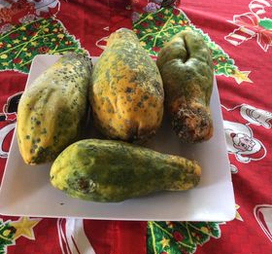 Vinagre e Sabão: A Dupla Dinâmica que Resgata Suas Peças Favoritas - inspiração 2