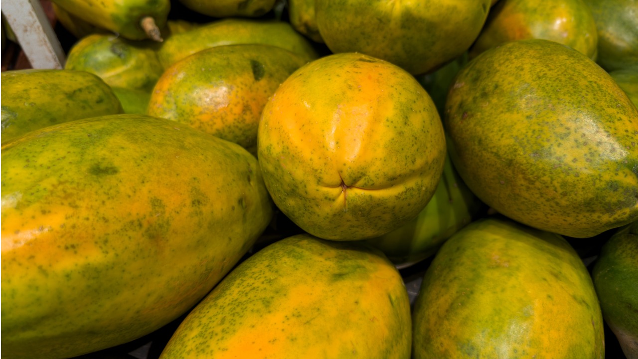 SOS Potes de Plástico: Diga Adeus às Manchas Teimosas em Seus Recipientes - inspiração 1