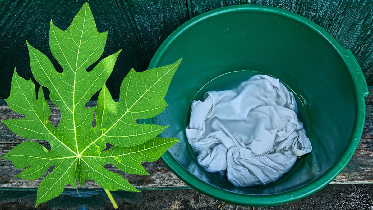 Sol e Mancha: Um Conto de Terror! Aprenda a Evitar Essa Combinação Perigosa - inspiração 2