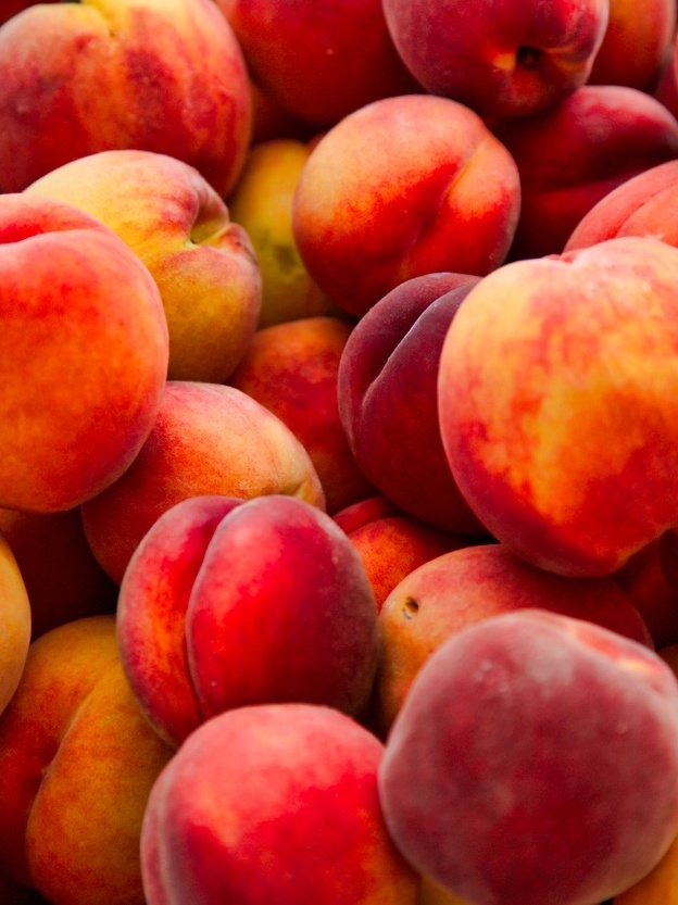 Dica 10: O Teste Prévio que Salva Seus Tecidos - inspiração 1