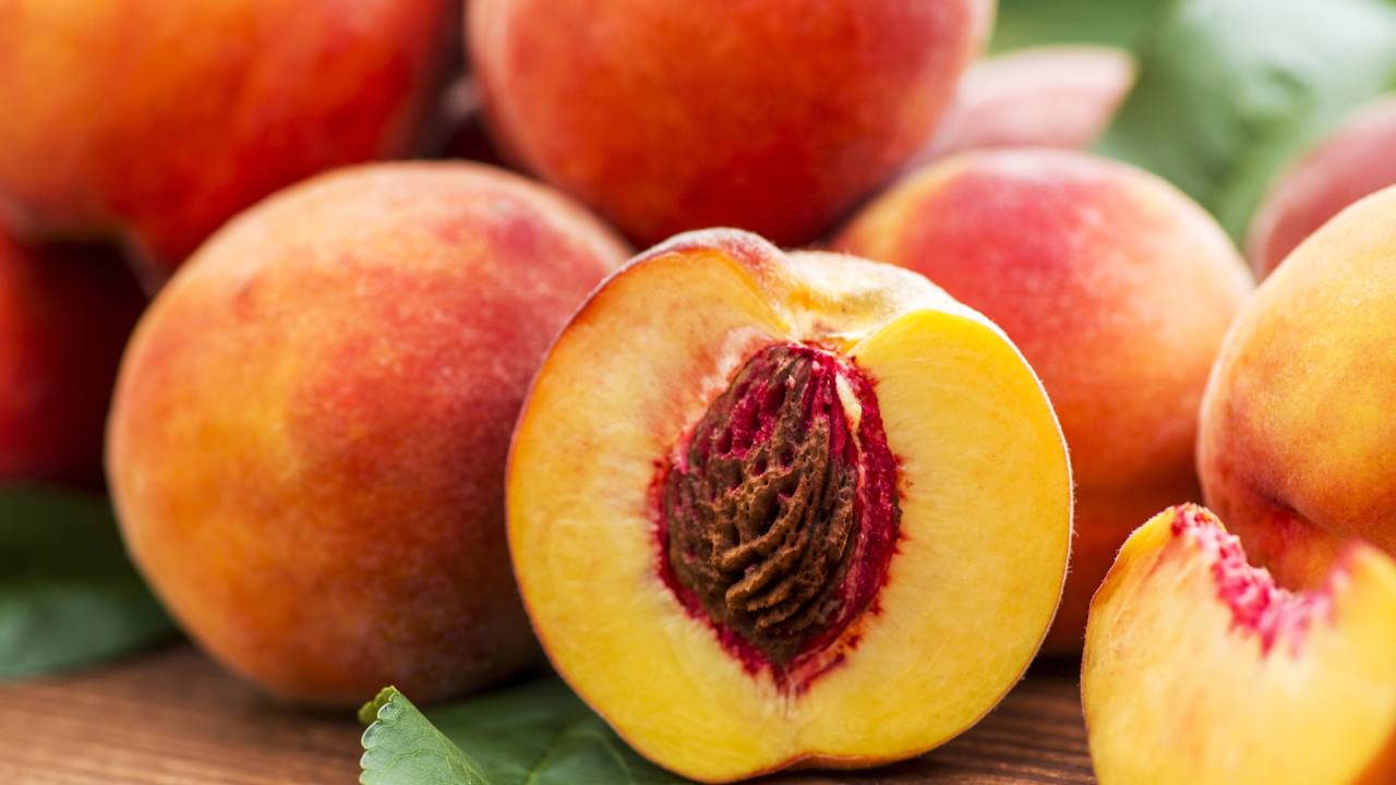 Dica 10: O Teste Prévio que Salva Seus Tecidos - inspiração 3