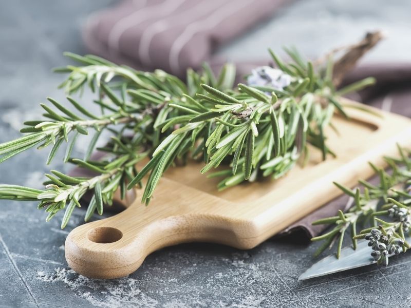 Remova os Talos Lenhosos: O Primeiro Passo para a Doçura - inspiração 3