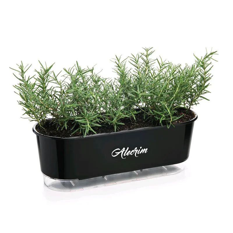 Abrace a Gordura: Refogue para Revelar o Aroma Delicado - inspiração 3