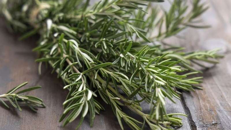 Combine com Limão: Um Truque para Equilibrar o Sabor - inspiração 3