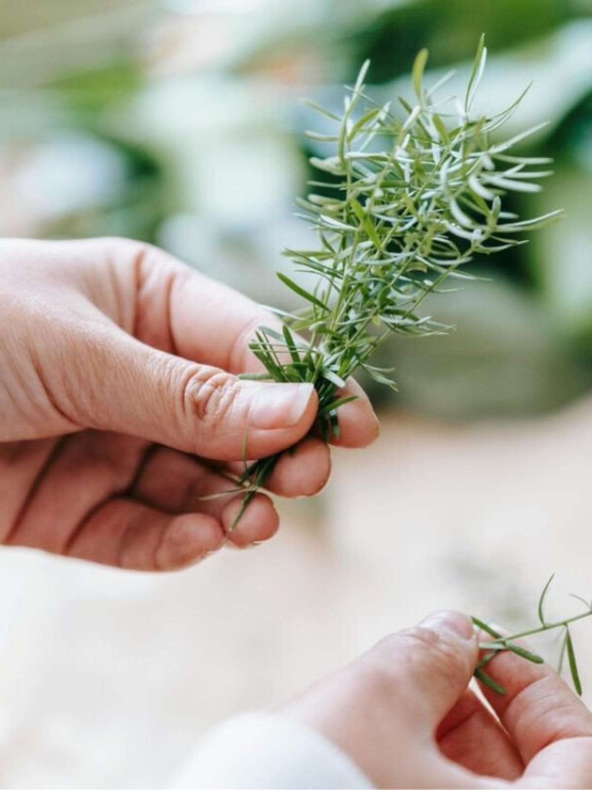 Seque com Cuidado: Intensificando o Sabor sem Queimar - inspiração 1