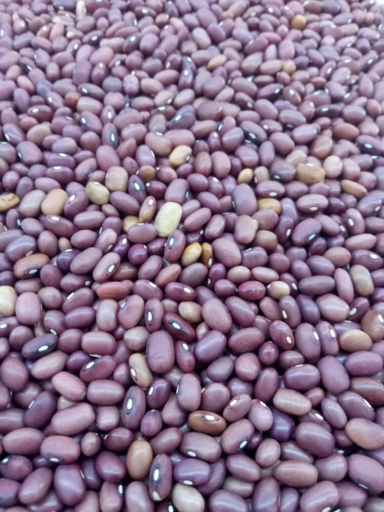 Baião de Dois Moderno: Inove com Feijão Roxinho e Queijo Coalho - inspiração 1