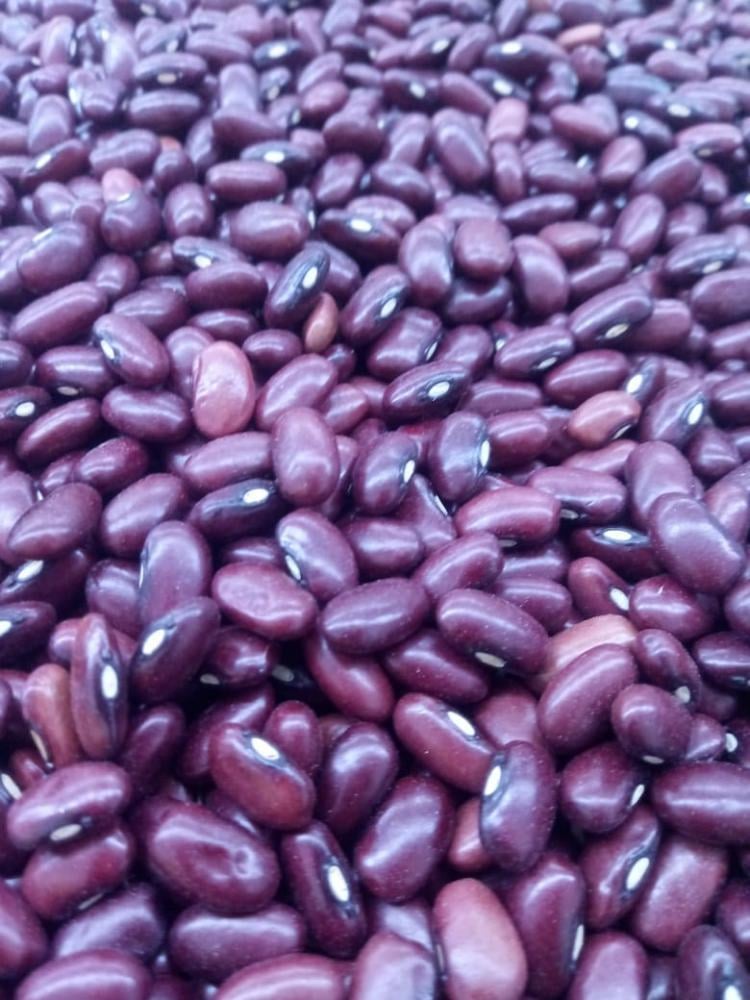 Receita Fácil: Salada Refrescante de Feijão Roxinho - inspiração 3