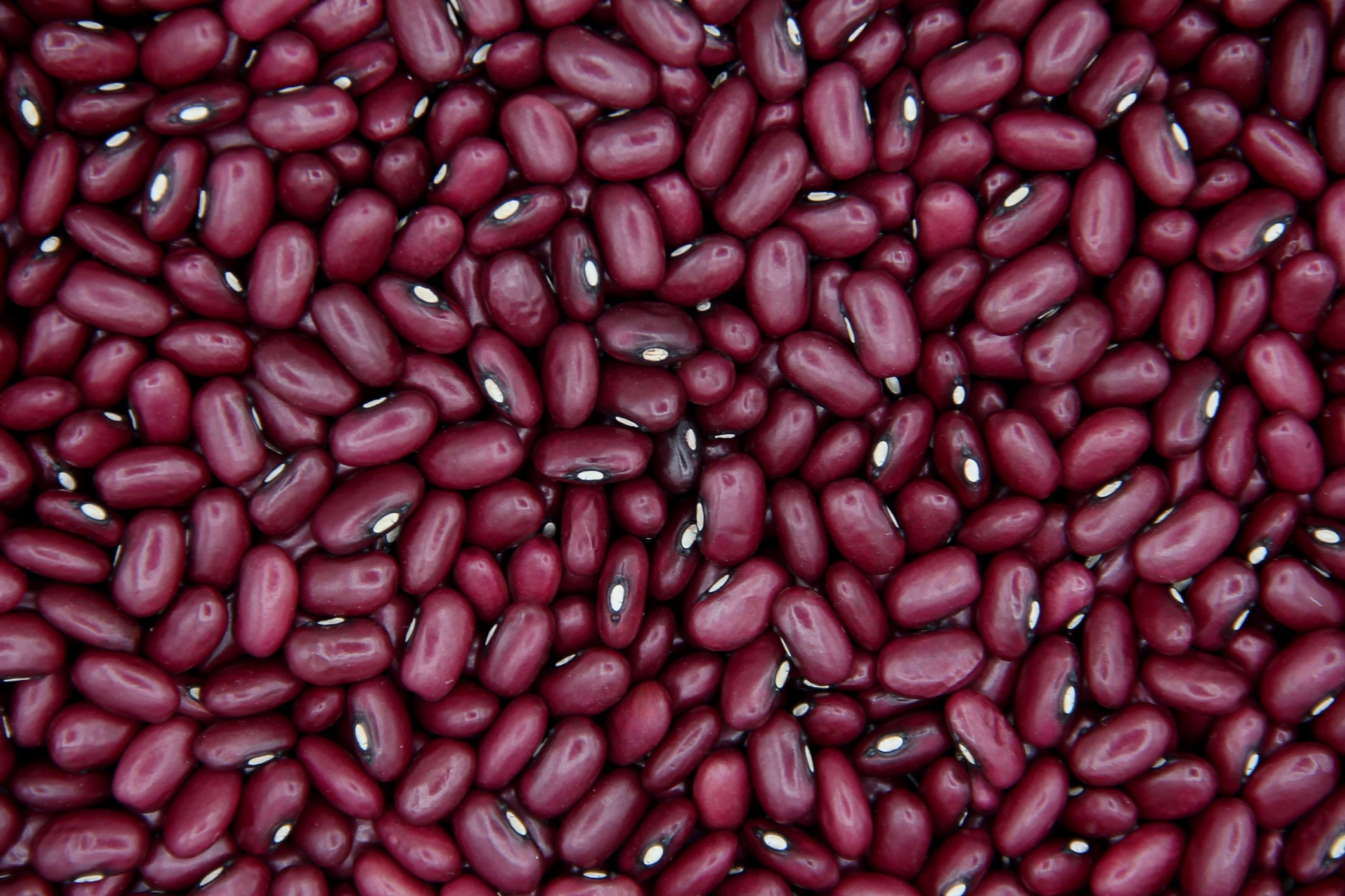 Feijão Roxinho no Combate à Anemia: A Força do Ferro - inspiração 3