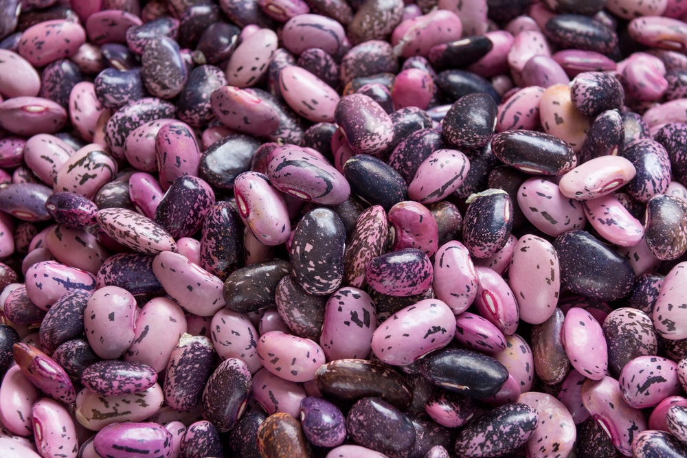 Feijão Roxinho Turbinado: Adicione Especiarias e Ervas - inspiração 2