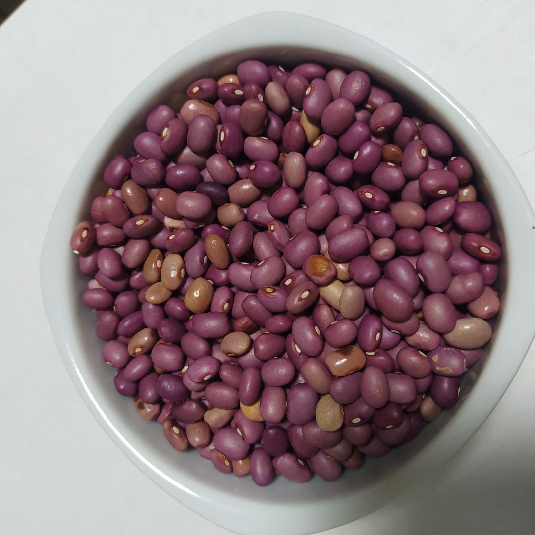 Feijão Roxinho Vegano: Fonte Completa de Proteínas - inspiração 2