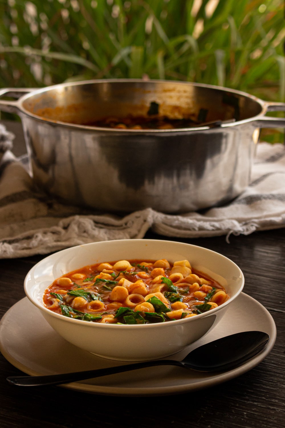 Lentilha Express: Sopa Pronta em Minutos, Cheia de Ferro! - inspiração 2