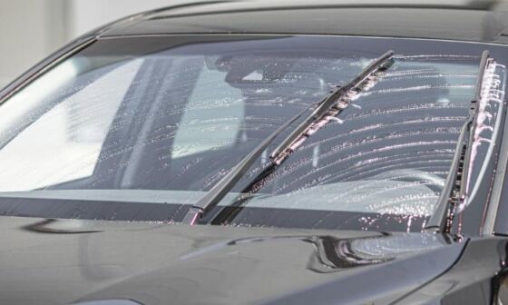 Cera Protetora: Uma Barreira Contra Resíduos e o Clima - inspiração 3