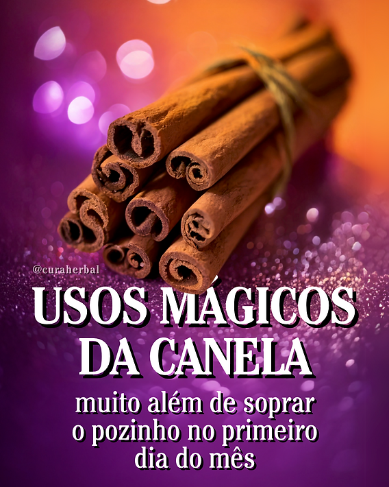 Óleo Essencial de Canela para Foco e Clareza Mental - inspiração 1