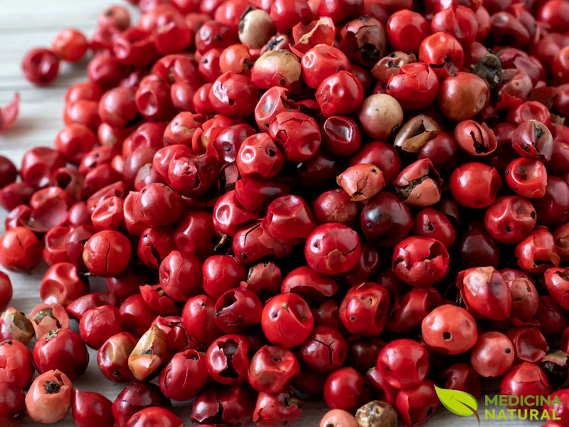 Aroeira Tostada: Realçando o Sabor - inspiração 1