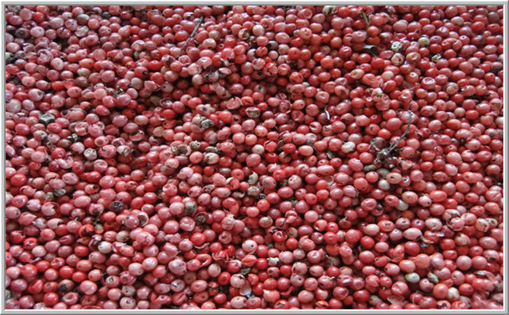 Aroeira em Queijos: Uma Combinação Surpreendente - inspiração 1