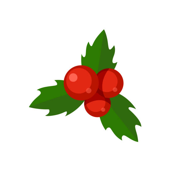 Aroeira em Saladas: Crocância e Sabor - inspiração 3