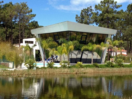 Aroeira em Molhos: Acompanhamento Perfeito - inspiração 2