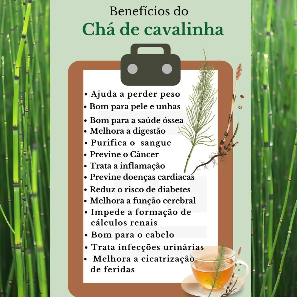 Atente-se à Cor e ao Cheiro: Sinal de Qualidade - inspiração 3