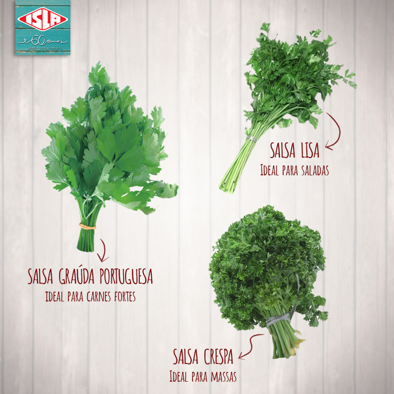 Use Salsa Lisa Para um Toque Italiano Autêntico - inspiração 1