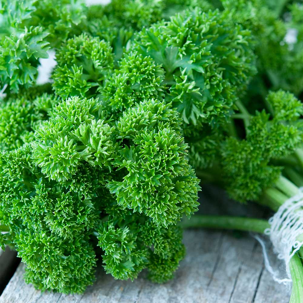 Truque de Chef: Adicione Salsa Lisa no Final do Preparo Para um Aroma Intenso - inspiração 1