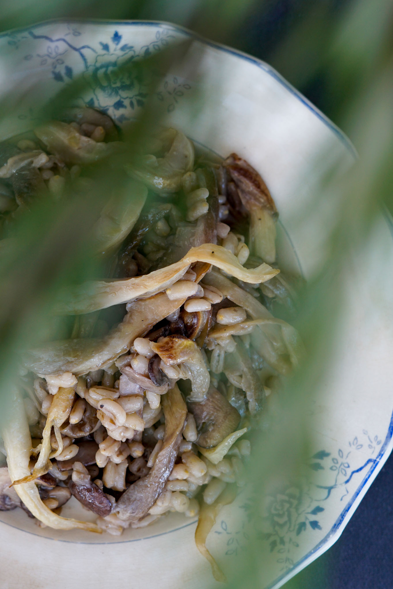 Tomilho Fresco: A Erva que Transforma a Sopa em Gourmet - inspiração 1