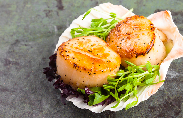 Ervas Frescas: O Segredo Está no Corte e na Hora Certa - inspiração 2